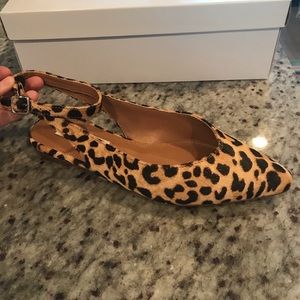 Brand New Steve Madden Leopard Flats